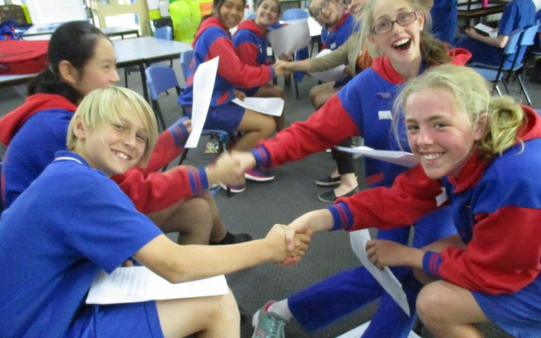 Peer Mediation Incursion