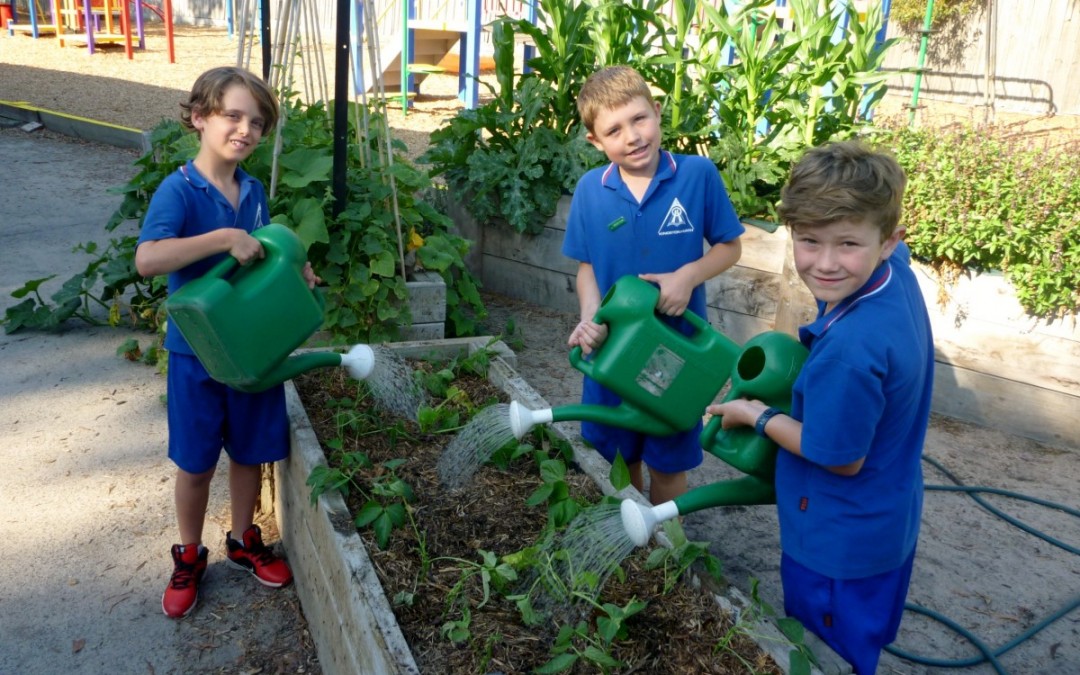 Stephanie Alexander Kitchen Garden Program
