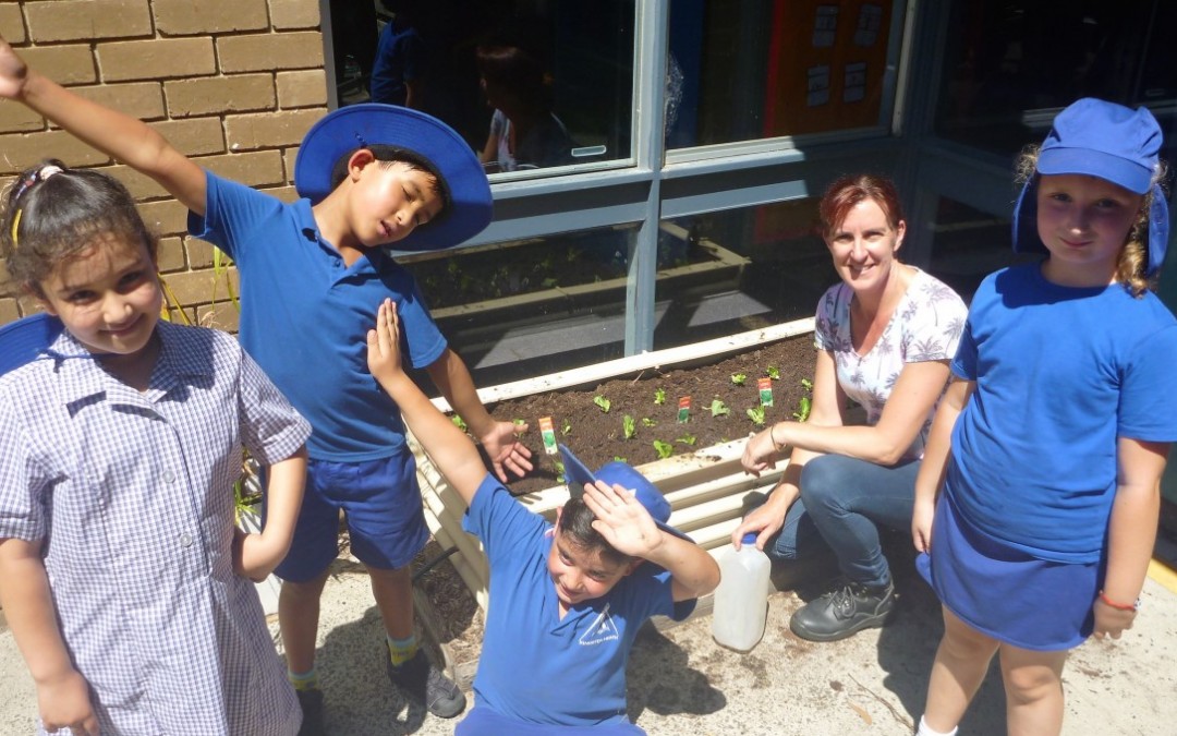 Kitchen Garden Assistance!